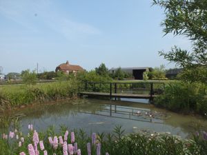 Lake- click for photo gallery